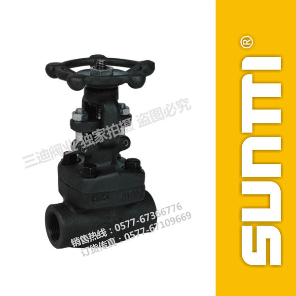 Forged steel gate valve internal threaded gate valve
